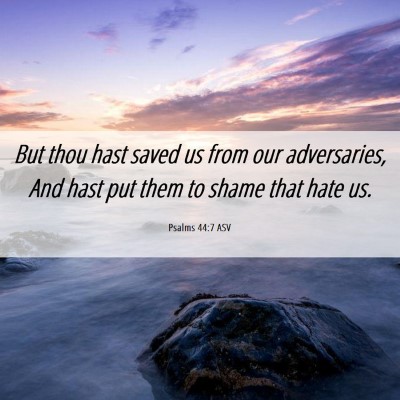 Picture 06 - Psalms 44:7 ASV - But thou hast saved us from our adversaries, And - Bible Verse Picture