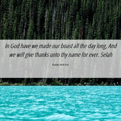 Picture 06 - Psalms 44:8 ASV - In God have we made our boast all the day long, - Bible Verse Picture