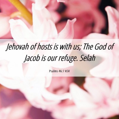 Picture 06 - Psalms 46:7 ASV - Jehovah of hosts is with us; The God of Jacob is - Bible Verse Picture