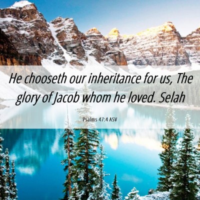 Picture 06 - Psalms 47:4 ASV - He chooseth our inheritance for us, The glory of - Bible Verse Picture