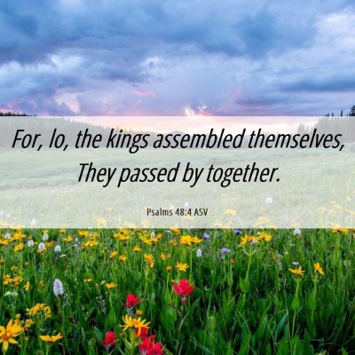 Picture 06 - Psalms 48:4 ASV - For, lo, the kings assembled themselves, They - Bible Verse Picture
