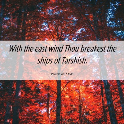 Picture 06 - Psalms 48:7 ASV - With the east wind Thou breakest the ships of - Bible Verse Picture