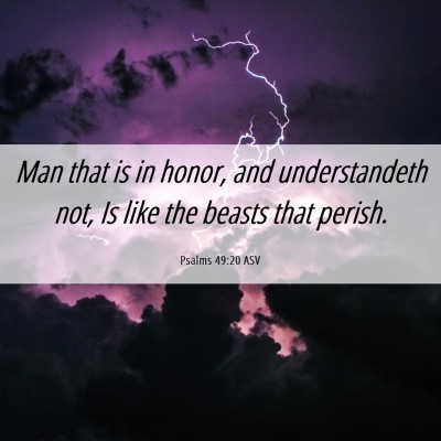 Picture 06 - Psalms 49:20 ASV - Man that is in honor, and understandeth not, Is - Bible Verse Picture