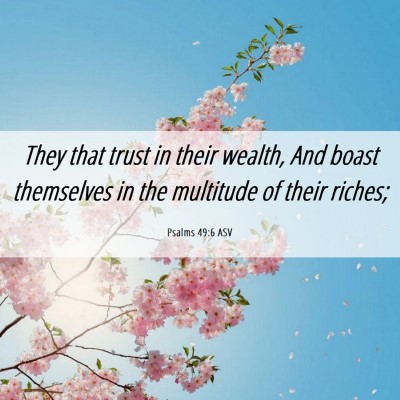 Picture 06 - Psalms 49:6 ASV - They that trust in their wealth, And boast - Bible Verse Picture