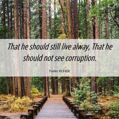 Picture 06 - Psalms 49:9 ASV - That he should still live alway, That he should - Bible Verse Picture