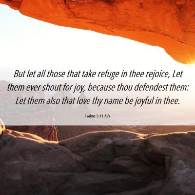 Picture 06 - Psalms 5:11 ASV - But let all those that take refuge in thee - Bible Verse Picture