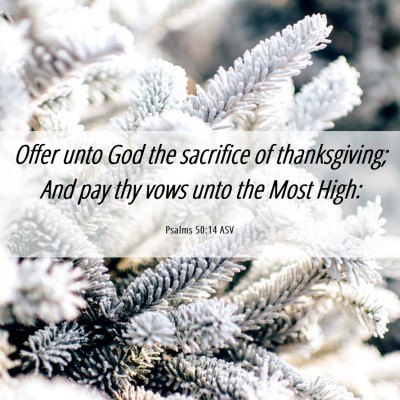 Picture 06 - Psalms 50:14 ASV - Offer unto God the sacrifice of thanksgiving; And - Bible Verse Picture