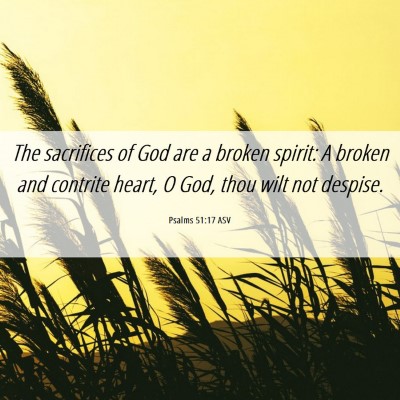 Picture 06 - Psalms 51:17 ASV - The sacrifices of God are a broken spirit: A - Bible Verse Picture
