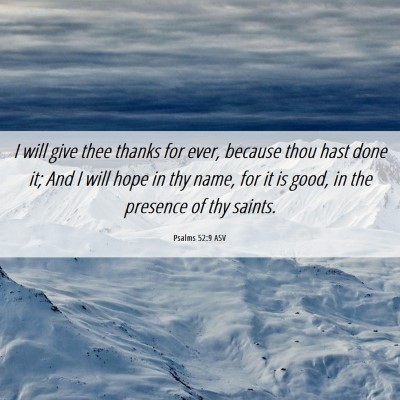 Picture 06 - Psalms 52:9 ASV - I will give thee thanks for ever, because thou - Bible Verse Picture