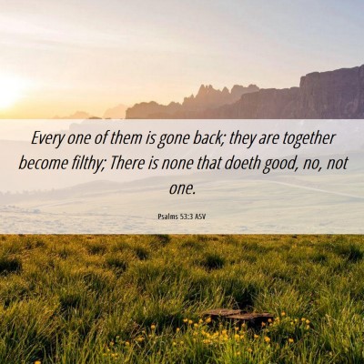 Picture 06 - Psalms 53:3 ASV - Every one of them is gone back; they are together - Bible Verse Picture
