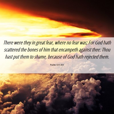 Picture 06 - Psalms 53:5 ASV - There were they in great fear, where no fear was; - Bible Verse Picture