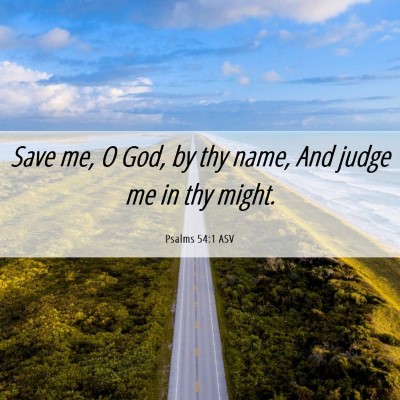 Picture 06 - Psalms 54:1 ASV - Save me, O God, by thy name, And judge me in thy - Bible Verse Picture