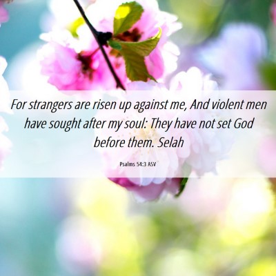 Picture 06 - Psalms 54:3 ASV - For strangers are risen up against me, And - Bible Verse Picture