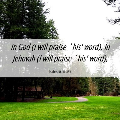 Picture 06 - Psalms 56:10 ASV - In God (I will praise `his' word), In Jehovah (I - Bible Verse Picture
