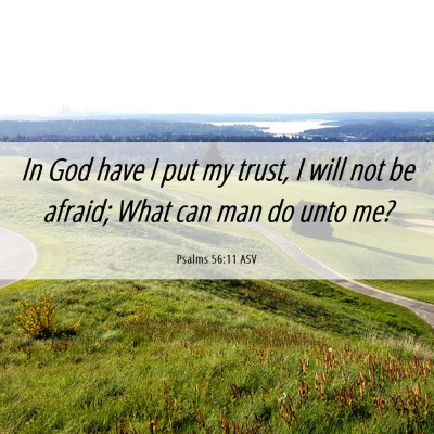 Picture 06 - Psalms 56:11 ASV - In God have I put my trust, I will not be afraid; - Bible Verse Picture