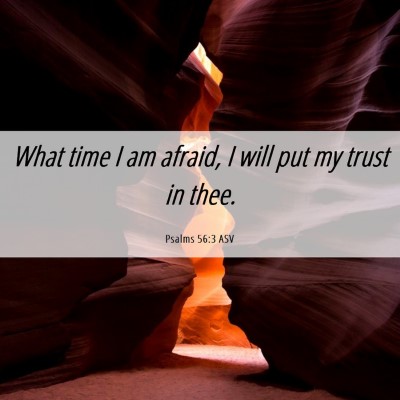 Picture 06 - Psalms 56:3 ASV - What time I am afraid, I will put my trust in - Bible Verse Picture
