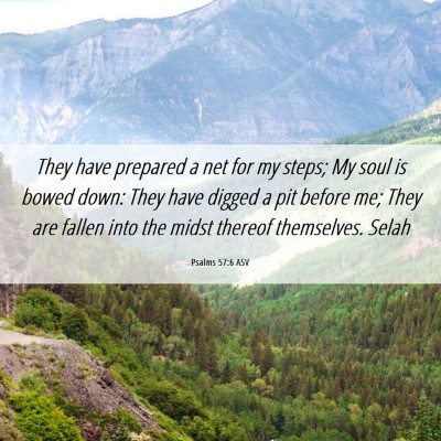 Picture 06 - Psalms 57:6 ASV - They have prepared a net for my steps; My soul is - Bible Verse Picture