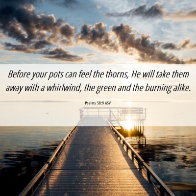 Picture 06 - Psalms 58:9 ASV - Before your pots can feel the thorns, He will - Bible Verse Picture