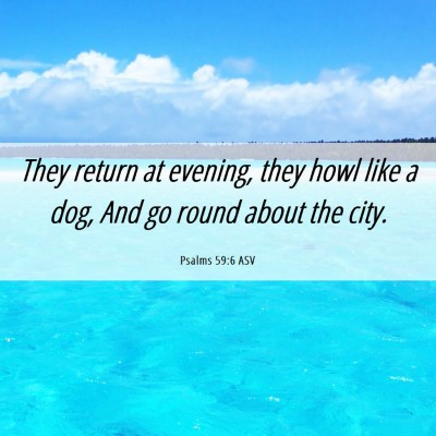 Picture 06 - Psalms 59:6 ASV - They return at evening, they howl like a dog, And - Bible Verse Picture