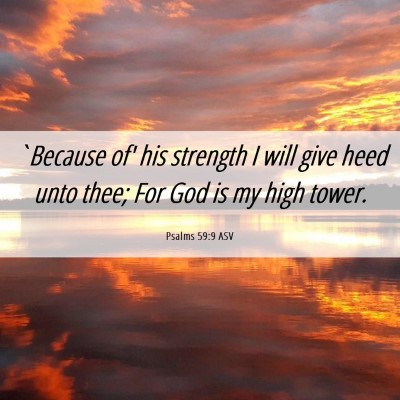 Picture 06 - Psalms 59:9 ASV - `Because of' his strength I will give heed unto - Bible Verse Picture