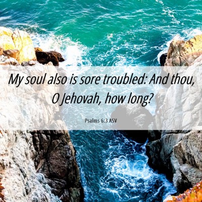 Picture 06 - Psalms 6:3 ASV - My soul also is sore troubled: And thou, O - Bible Verse Picture