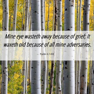 Picture 06 - Psalms 6:7 ASV - Mine eye wasteth away because of grief; It waxeth - Bible Verse Picture
