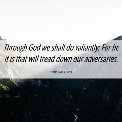 Picture 06 - Psalms 60:12 ASV - Through God we shall do valiantly; For he it is - Bible Verse Picture
