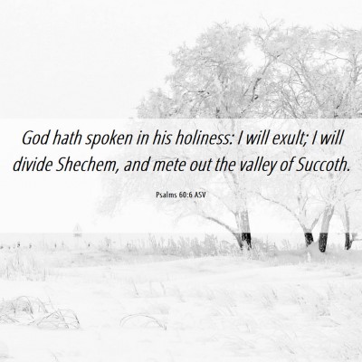 Picture 06 - Psalms 60:6 ASV - God hath spoken in his holiness: I will exult; I - Bible Verse Picture