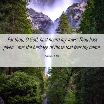 Picture 06 - Psalms 61:5 ASV - For thou, O God, hast heard my vows: Thou hast - Bible Verse Picture