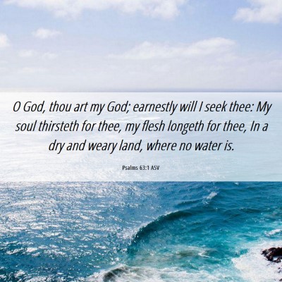 Picture 06 - Psalms 63:1 ASV - O God, thou art my God; earnestly will I seek - Bible Verse Picture