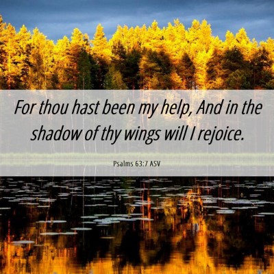 Picture 06 - Psalms 63:7 ASV - For thou hast been my help, And in the shadow of - Bible Verse Picture