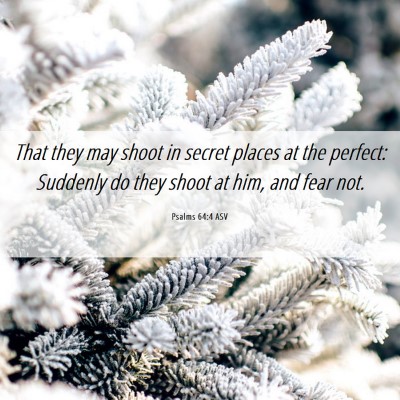 Picture 06 - Psalms 64:4 ASV - That they may shoot in secret places at the - Bible Verse Picture