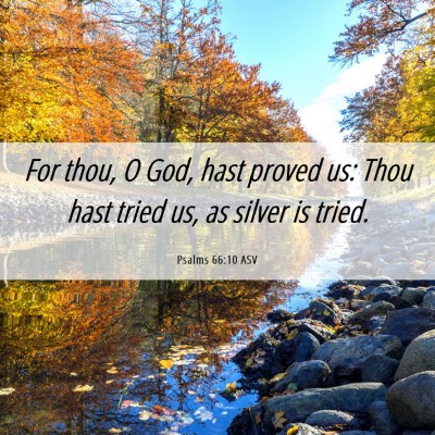 Picture 06 - Psalms 66:10 ASV - For thou, O God, hast proved us: Thou hast tried - Bible Verse Picture