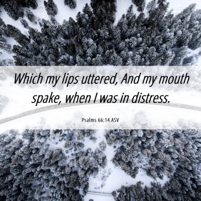 Picture 06 - Psalms 66:14 ASV - Which my lips uttered, And my mouth spake, when I - Bible Verse Picture