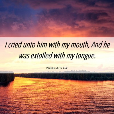 Picture 06 - Psalms 66:17 ASV - I cried unto him with my mouth, And he was - Bible Verse Picture