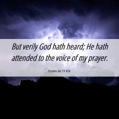 Picture 06 - Psalms 66:19 ASV - But verily God hath heard; He hath attended to - Bible Verse Picture