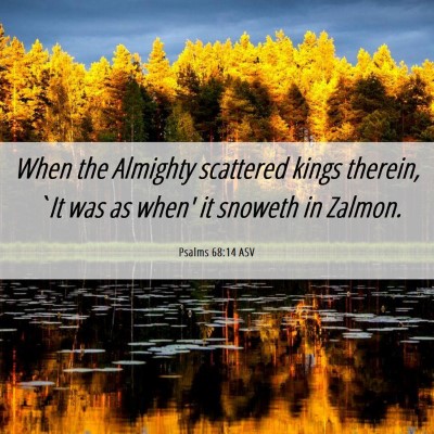 Picture 06 - Psalms 68:14 ASV - When the Almighty scattered kings therein, `It - Bible Verse Picture