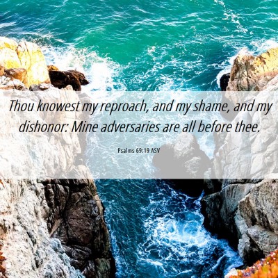 Picture 06 - Psalms 69:19 ASV - Thou knowest my reproach, and my shame, and my - Bible Verse Picture