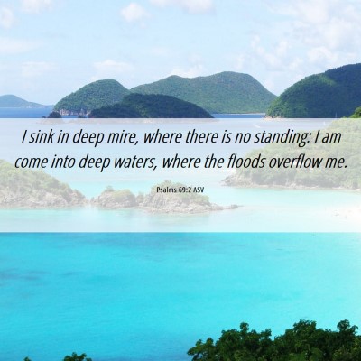 Picture 06 - Psalms 69:2 ASV - I sink in deep mire, where there is no standing: - Bible Verse Picture