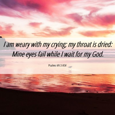 Picture 06 - Psalms 69:3 ASV - I am weary with my crying; my throat is dried: - Bible Verse Picture