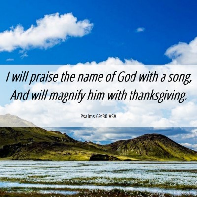 Picture 06 - Psalms 69:30 ASV - I will praise the name of God with a song, And - Bible Verse Picture