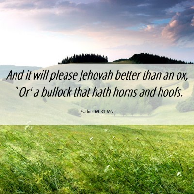 Picture 06 - Psalms 69:31 ASV - And it will please Jehovah better than an ox, - Bible Verse Picture