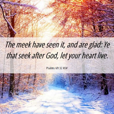 Picture 06 - Psalms 69:32 ASV - The meek have seen it, and are glad: Ye that seek - Bible Verse Picture