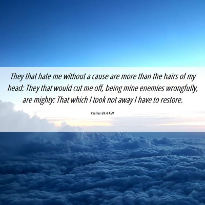 Picture 06 - Psalms 69:4 ASV - They that hate me without a cause are more than - Bible Verse Picture
