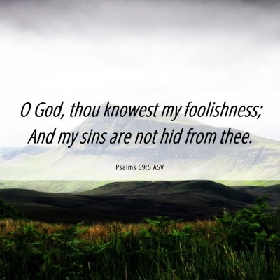 Picture 06 - Psalms 69:5 ASV - O God, thou knowest my foolishness; And my sins - Bible Verse Picture