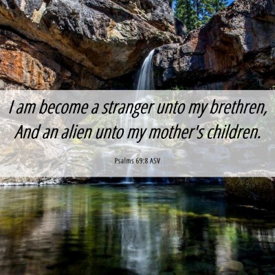Picture 06 - Psalms 69:8 ASV - I am become a stranger unto my brethren, And an - Bible Verse Picture