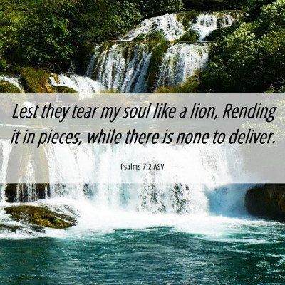 Picture 06 - Psalms 7:2 ASV - Lest they tear my soul like a lion, Rending it in - Bible Verse Picture