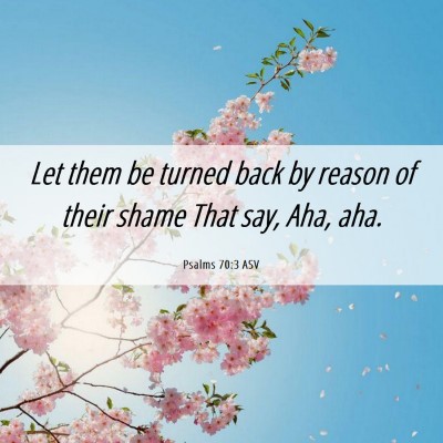 Picture 06 - Psalms 70:3 ASV - Let them be turned back by reason of their shame - Bible Verse Picture