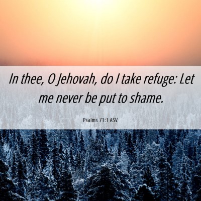 Picture 06 - Psalms 71:1 ASV - In thee, O Jehovah, do I take refuge: Let me - Bible Verse Picture