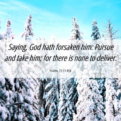 Picture 06 - Psalms 71:11 ASV - Saying, God hath forsaken him: Pursue and take - Bible Verse Picture